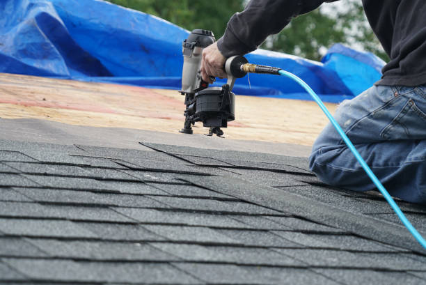 Best Shingle Roofing Installation  in Sibley, LA