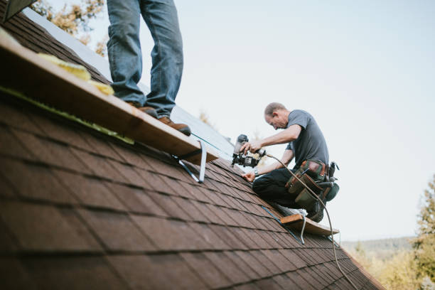 Best Local Roofing Companies  in Sibley, LA